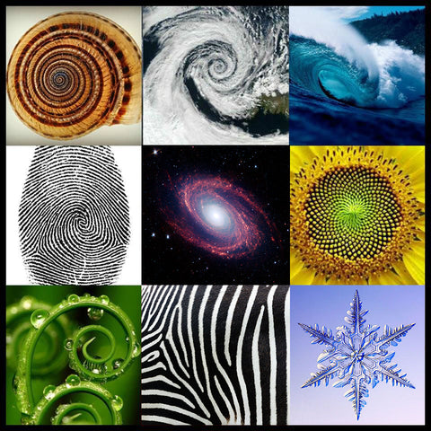 Nature's geometry — nautilus, snowflake, sunflower, galaxy